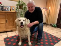 ein Bild aus dem Album